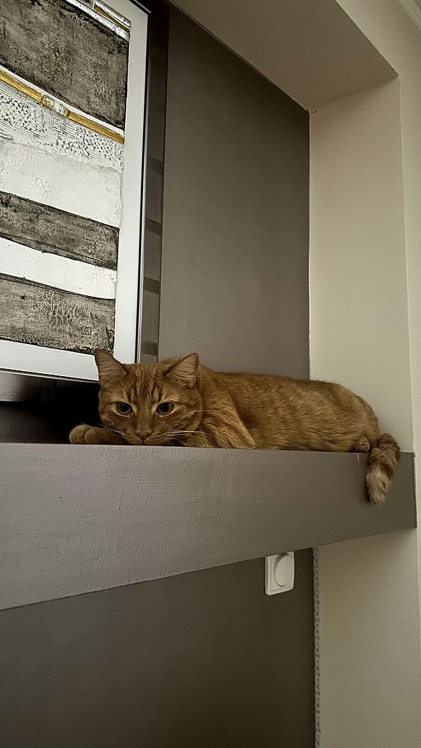 mira.0004 image ~ Altpins