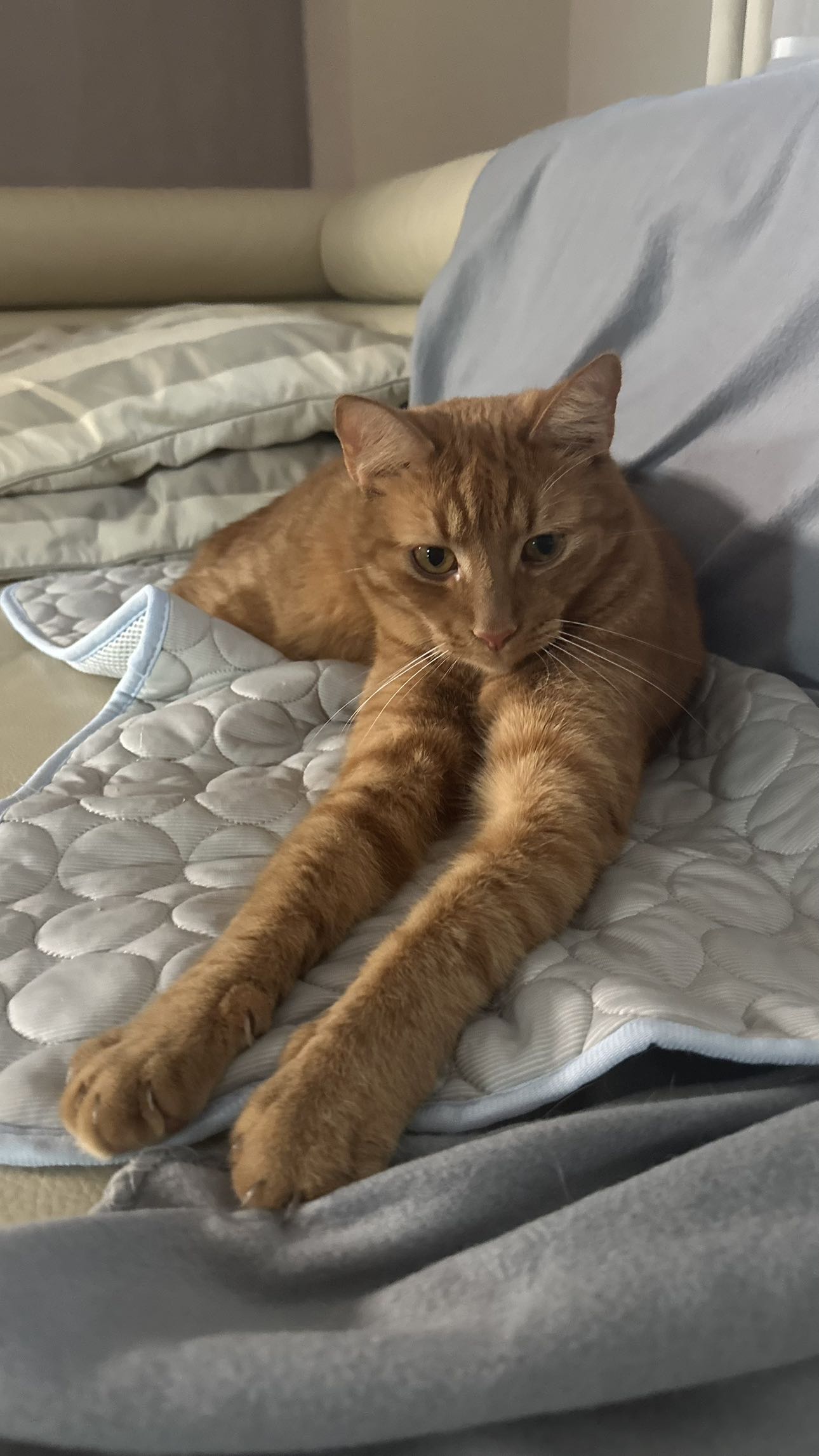 mira.0004 snapchat image archive image