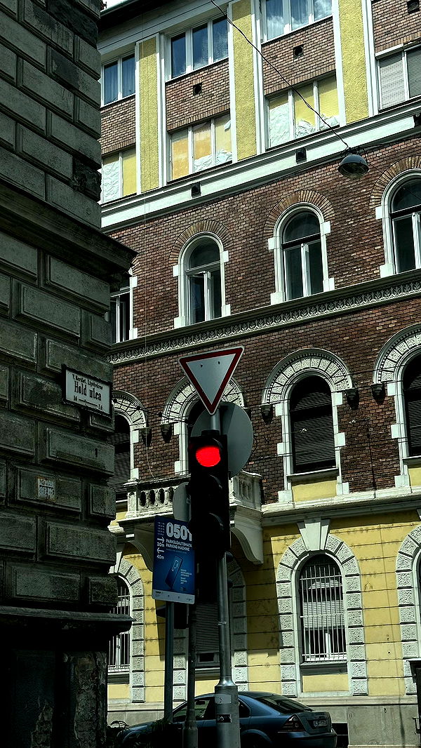 mira.0004 image ~ Altpins