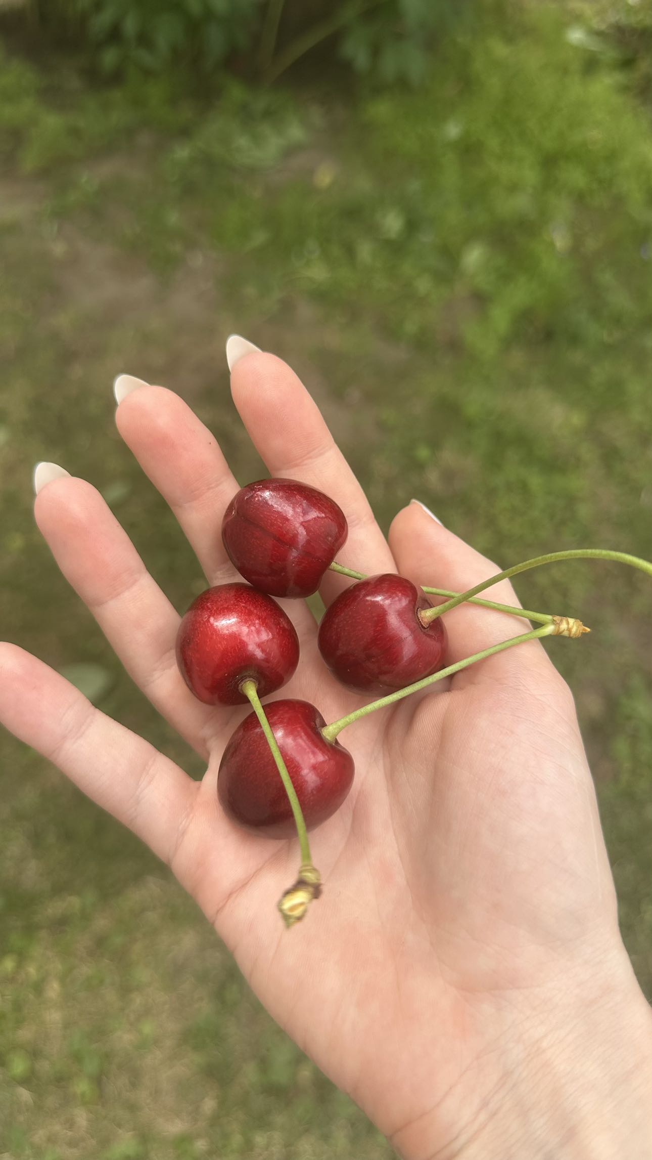 mira.0004 snapchat image archive image