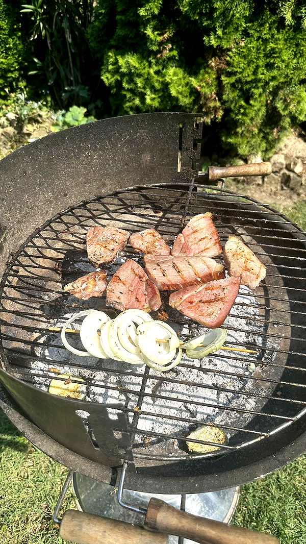 mira.0004 image ~ Altpins