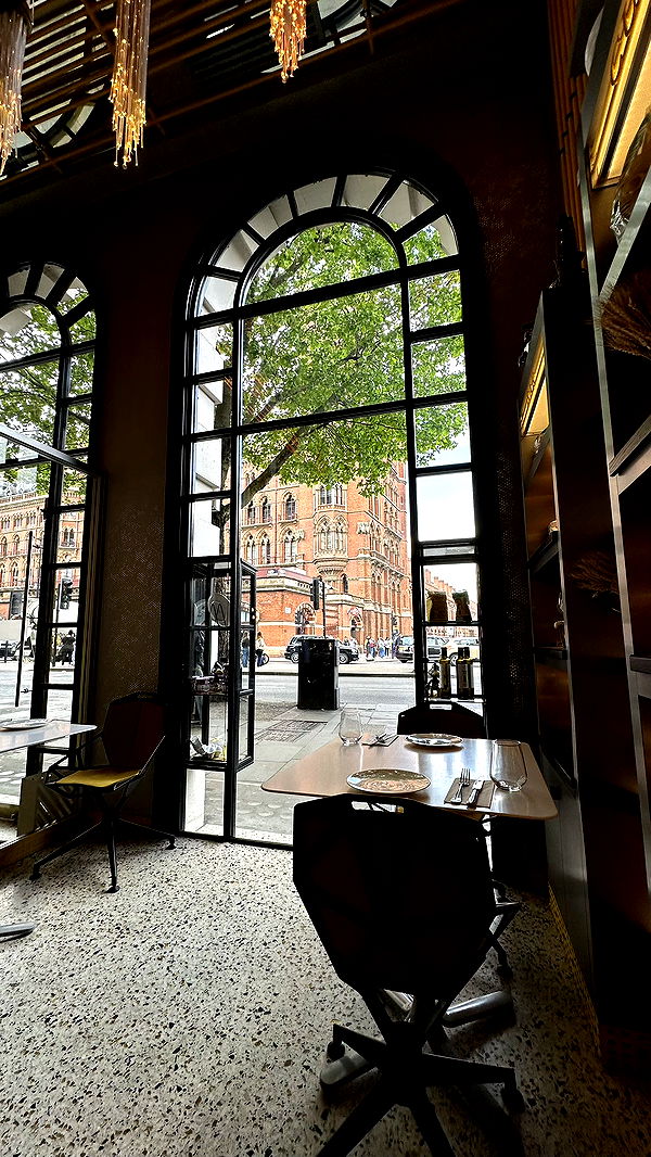 mira.0004 image ~ Altpins