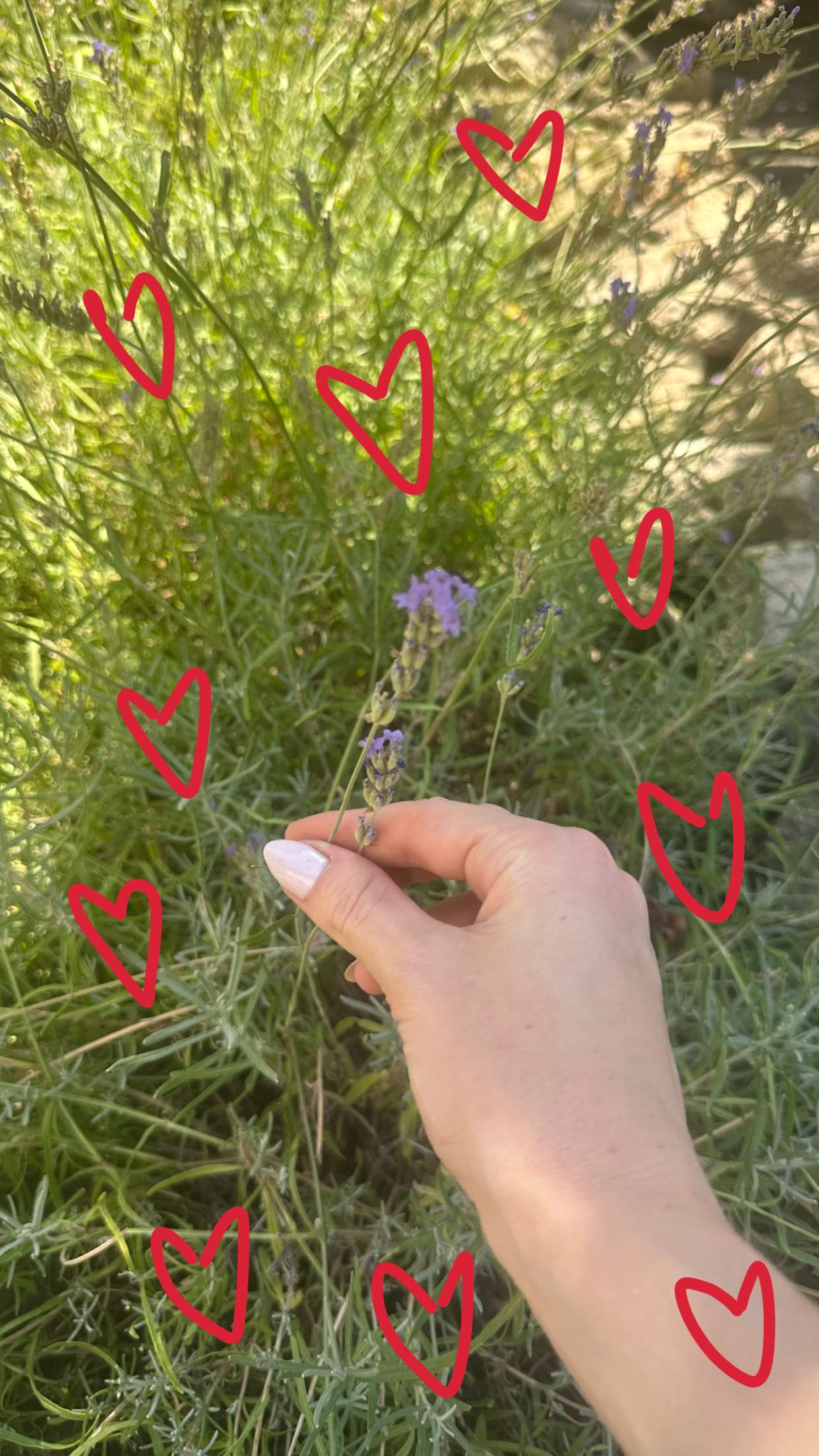 mira.0004 snapchat image archive image