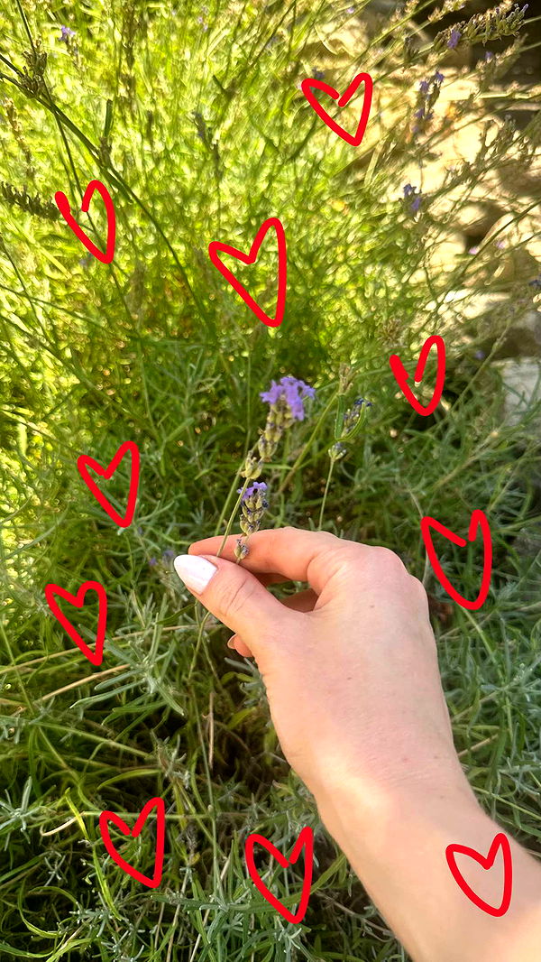 mira.0004 image ~ Altpins