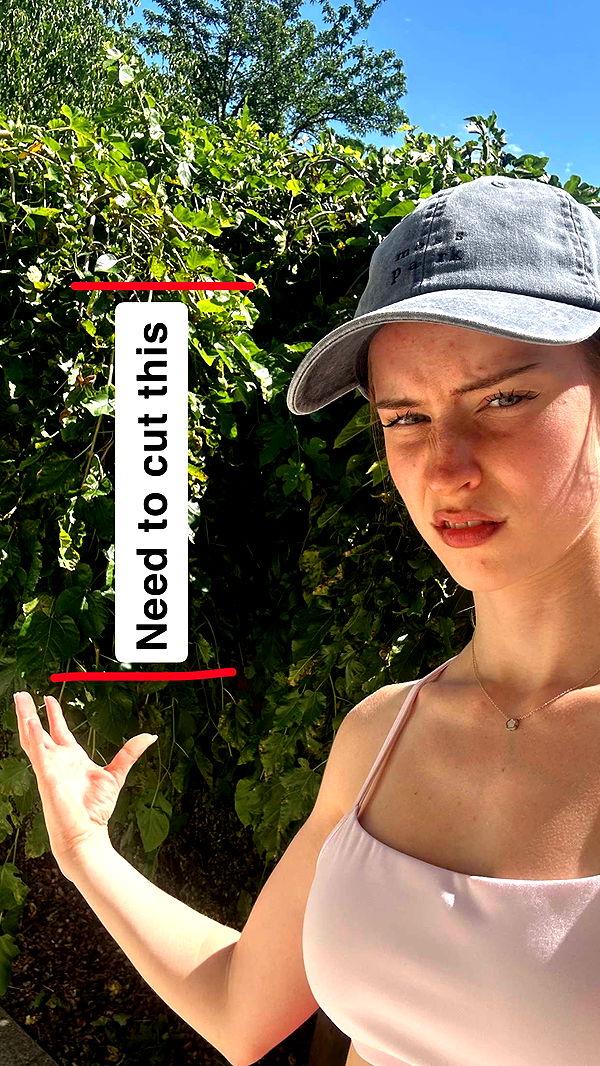 mira.0004 image ~ Altpins