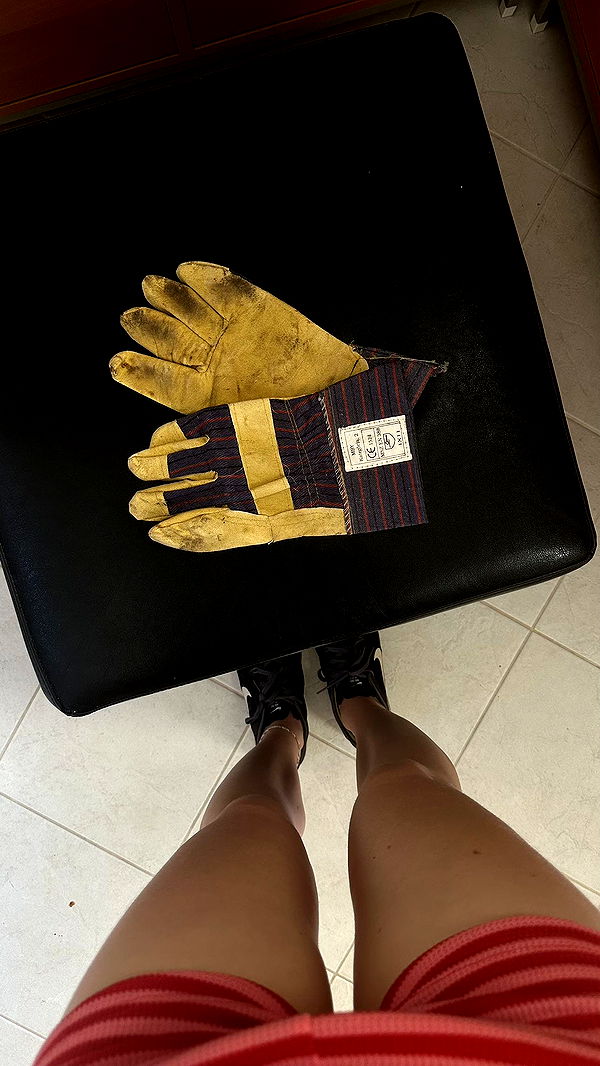 mira.0004 image ~ Altpins