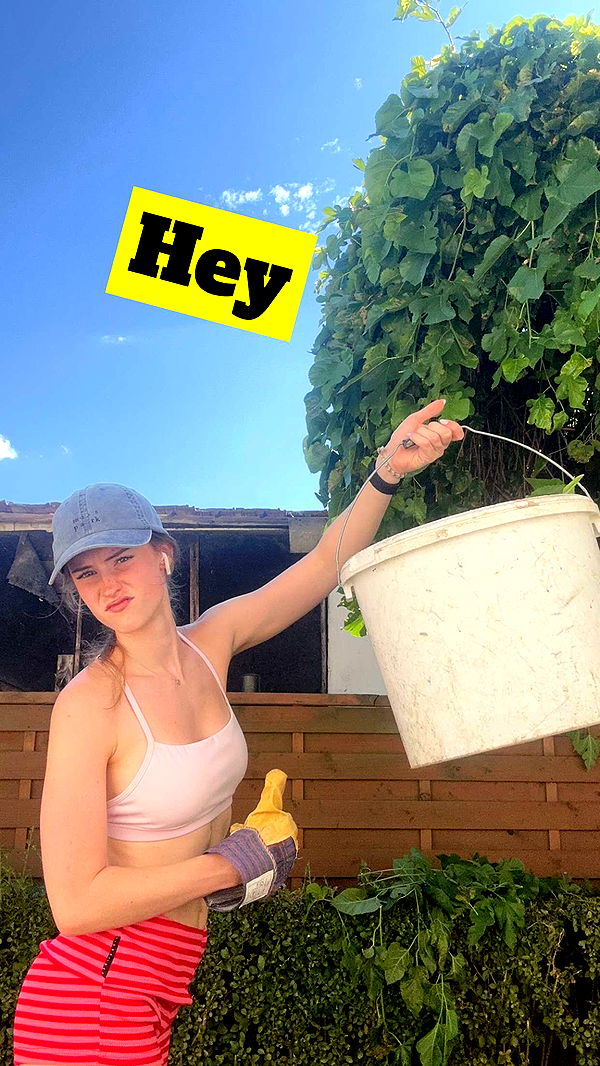 mira.0004 image ~ Altpins