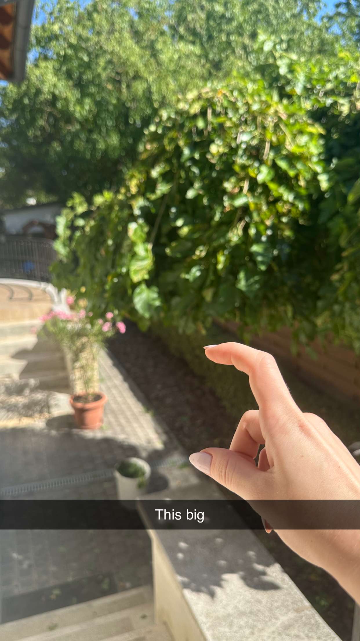 mira.0004 snapchat image archive image