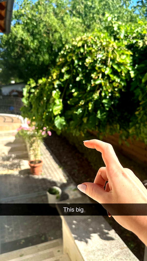 mira.0004 image ~ Altpins