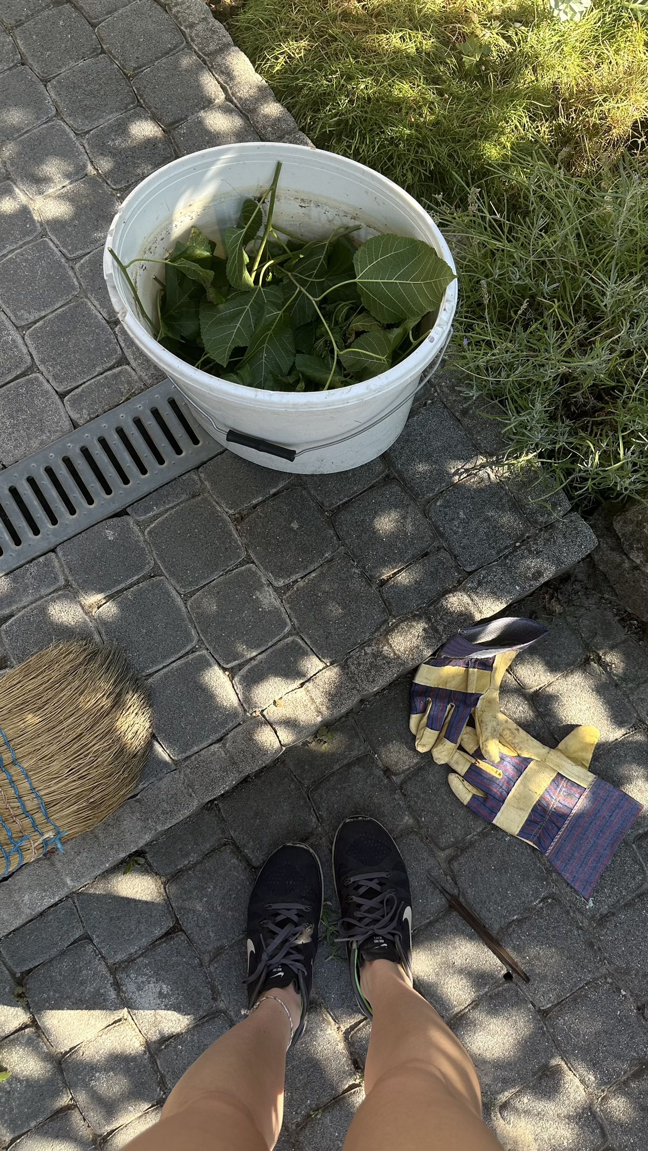 mira.0004 snapchat image archive image