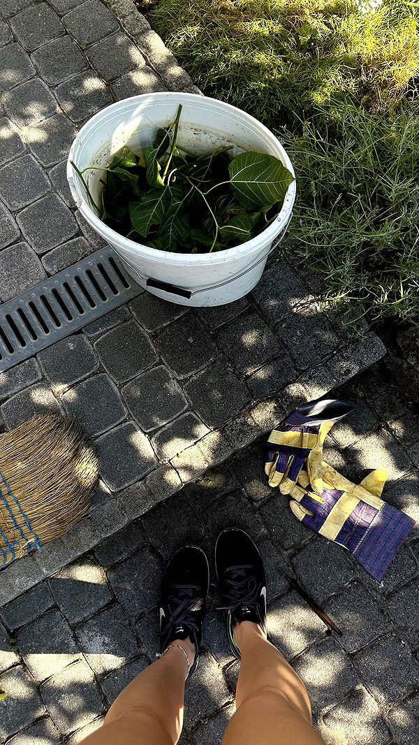 mira.0004 image ~ Altpins