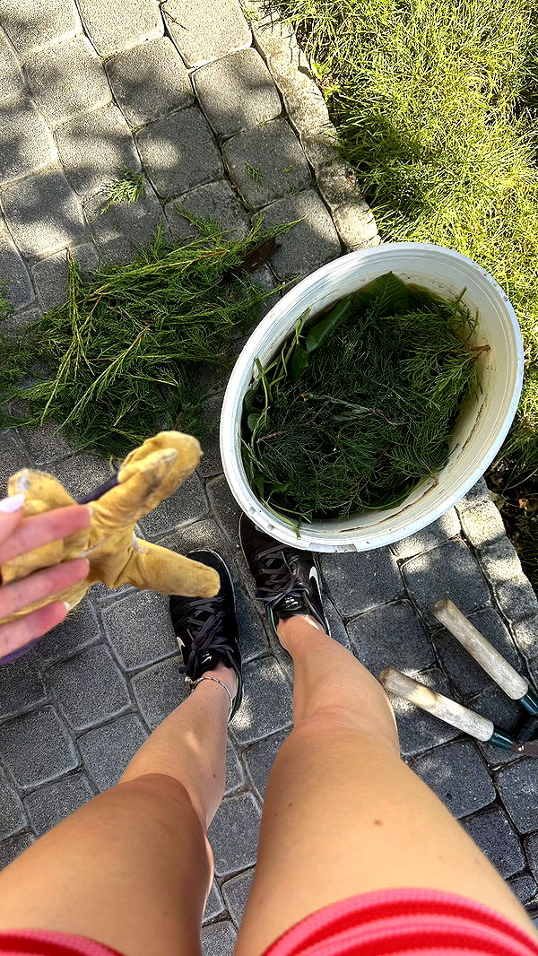 mira.0004 image ~ Altpins