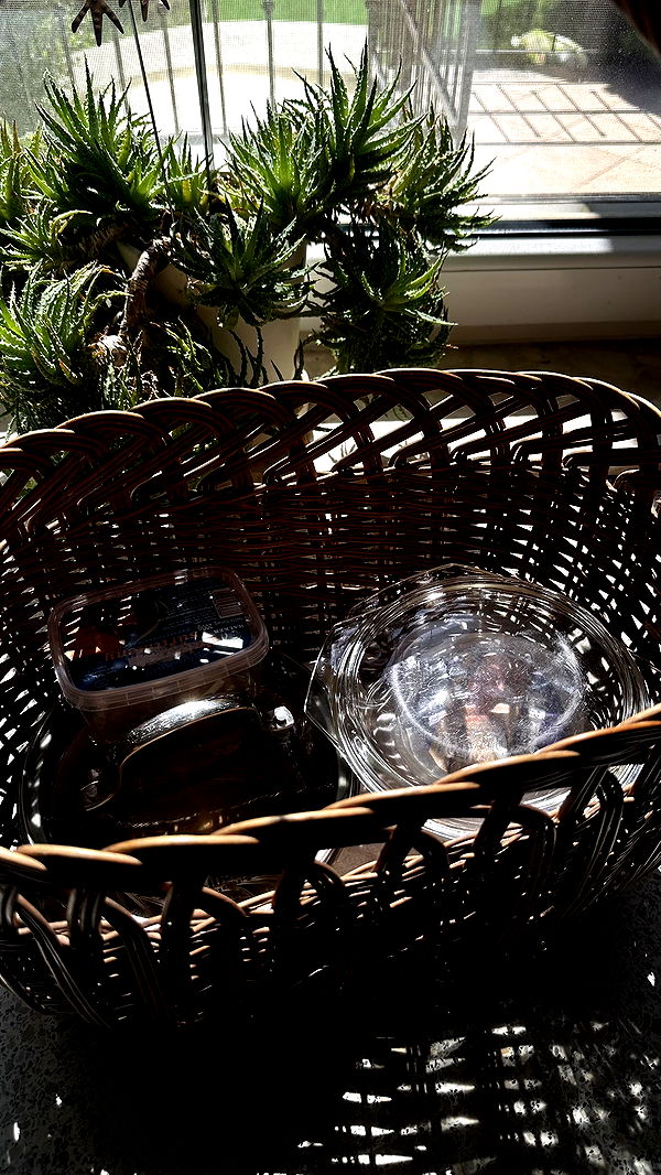 mira.0004 image ~ Altpins