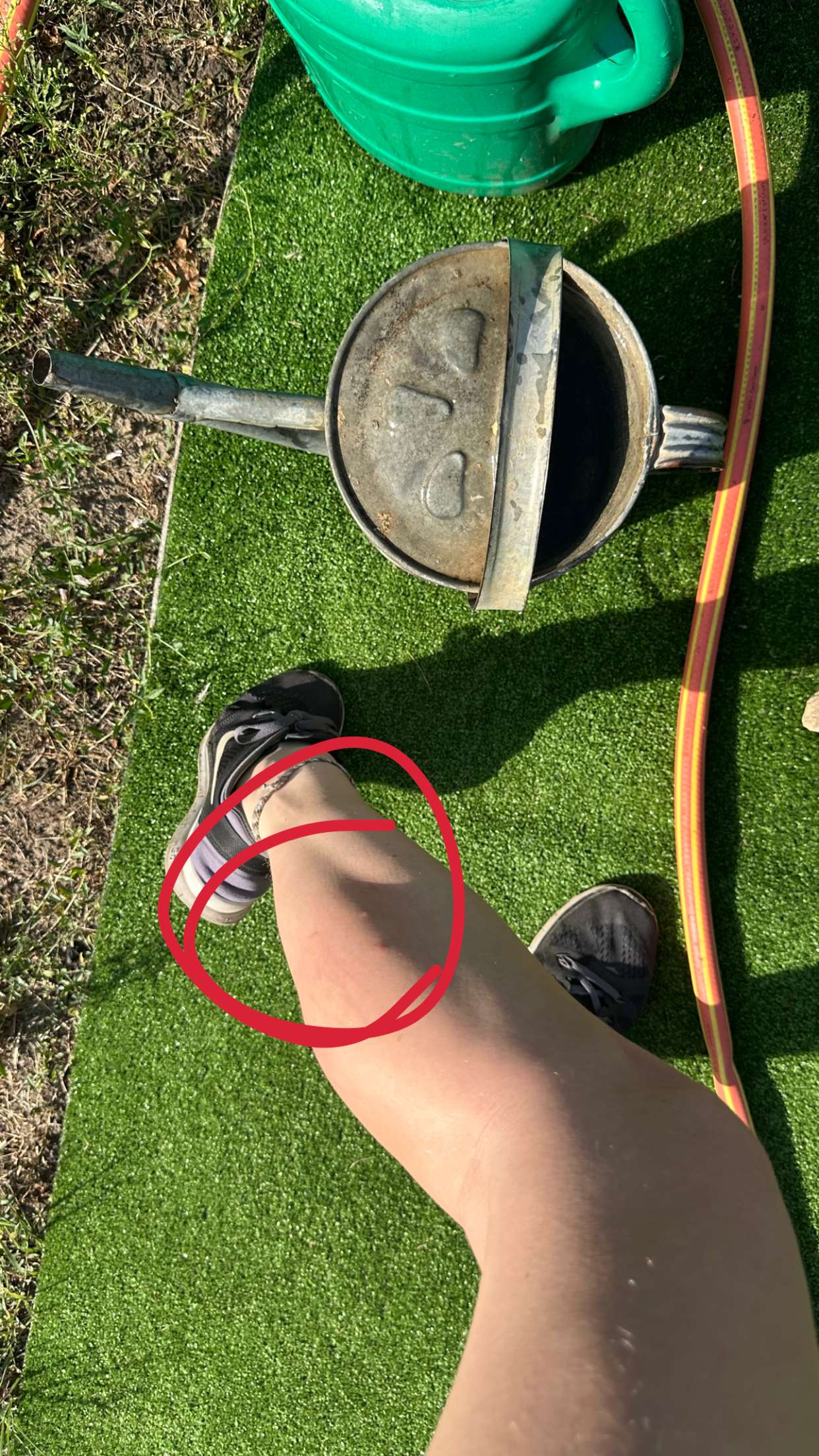 mira.0004 snapchat image archive image