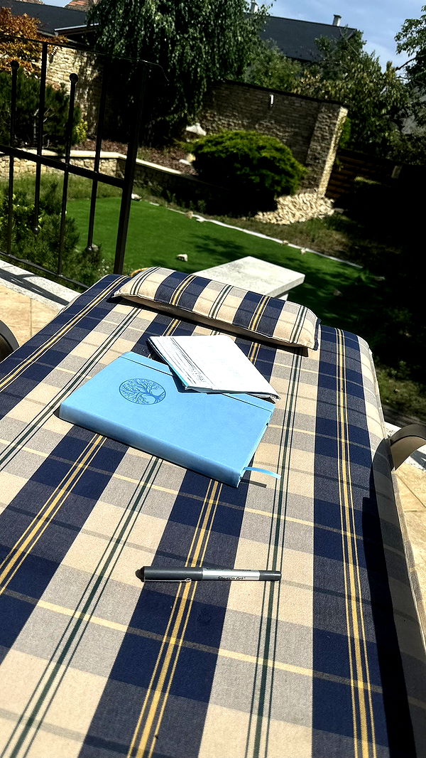 mira.0004 image ~ Altpins