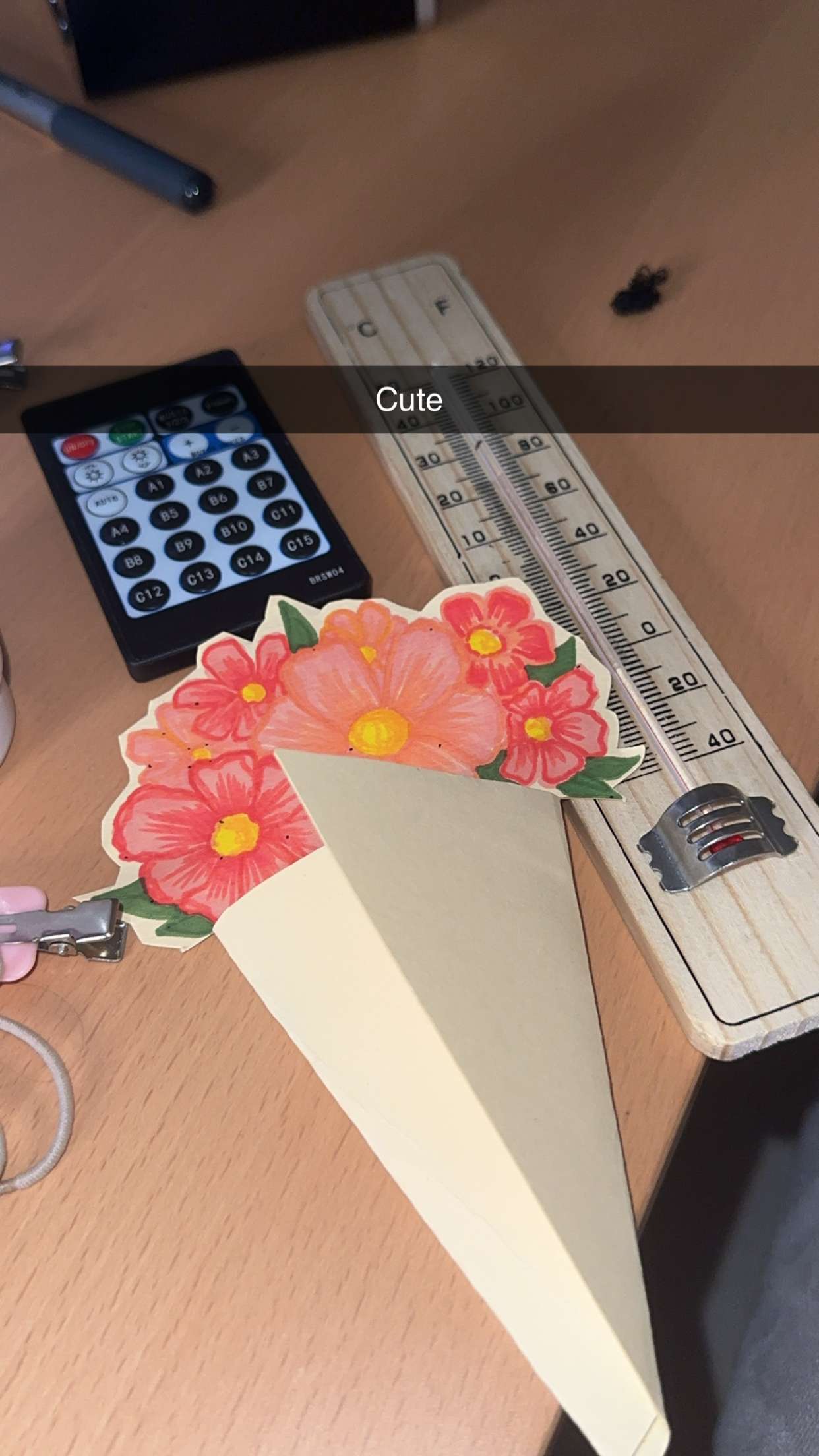 mira.0004 snapchat image archive image