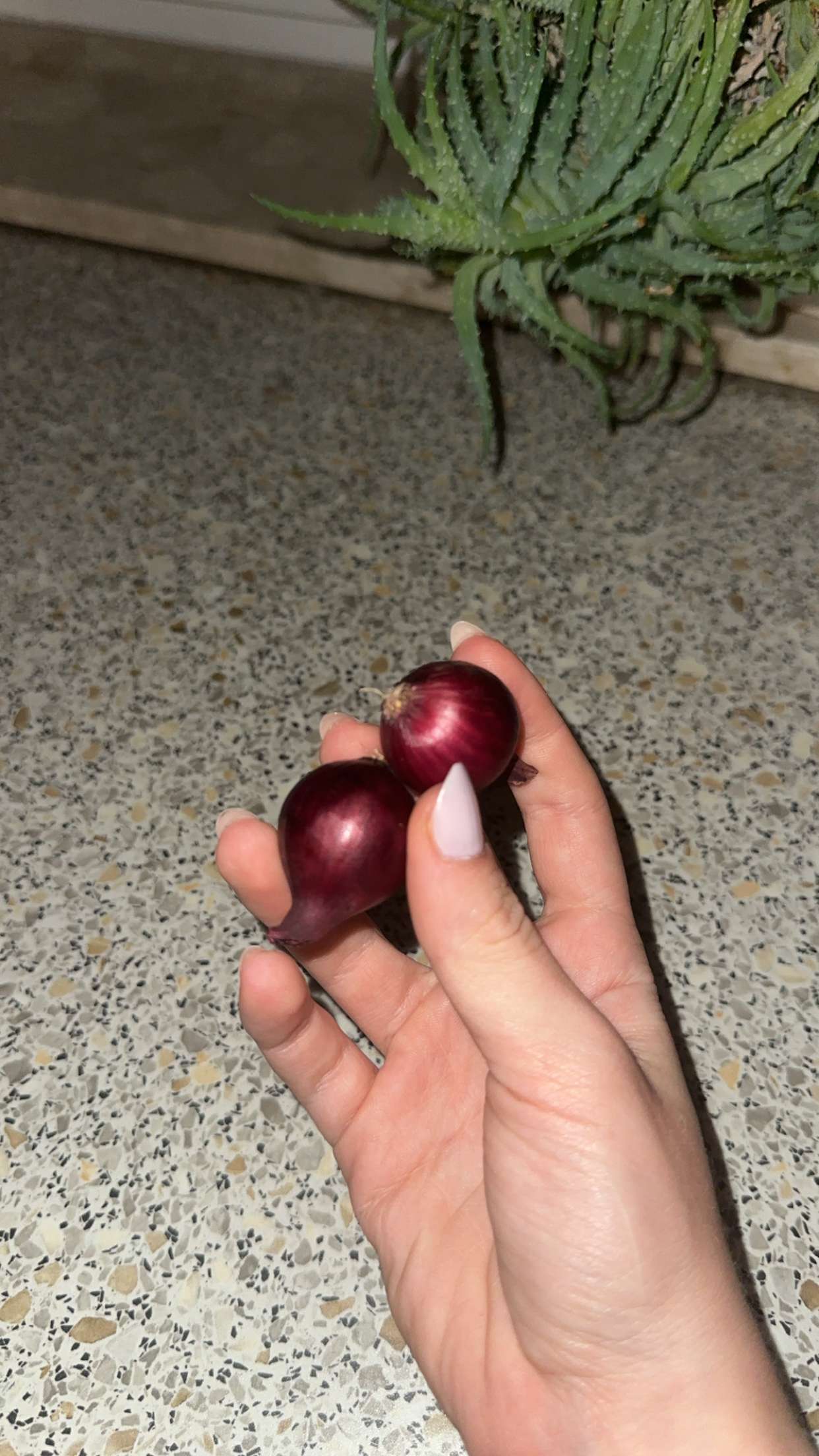 mira.0004 snapchat image archive image