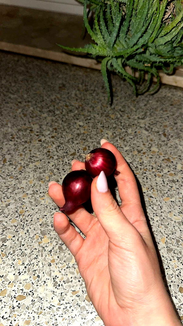 mira.0004 image ~ Altpins