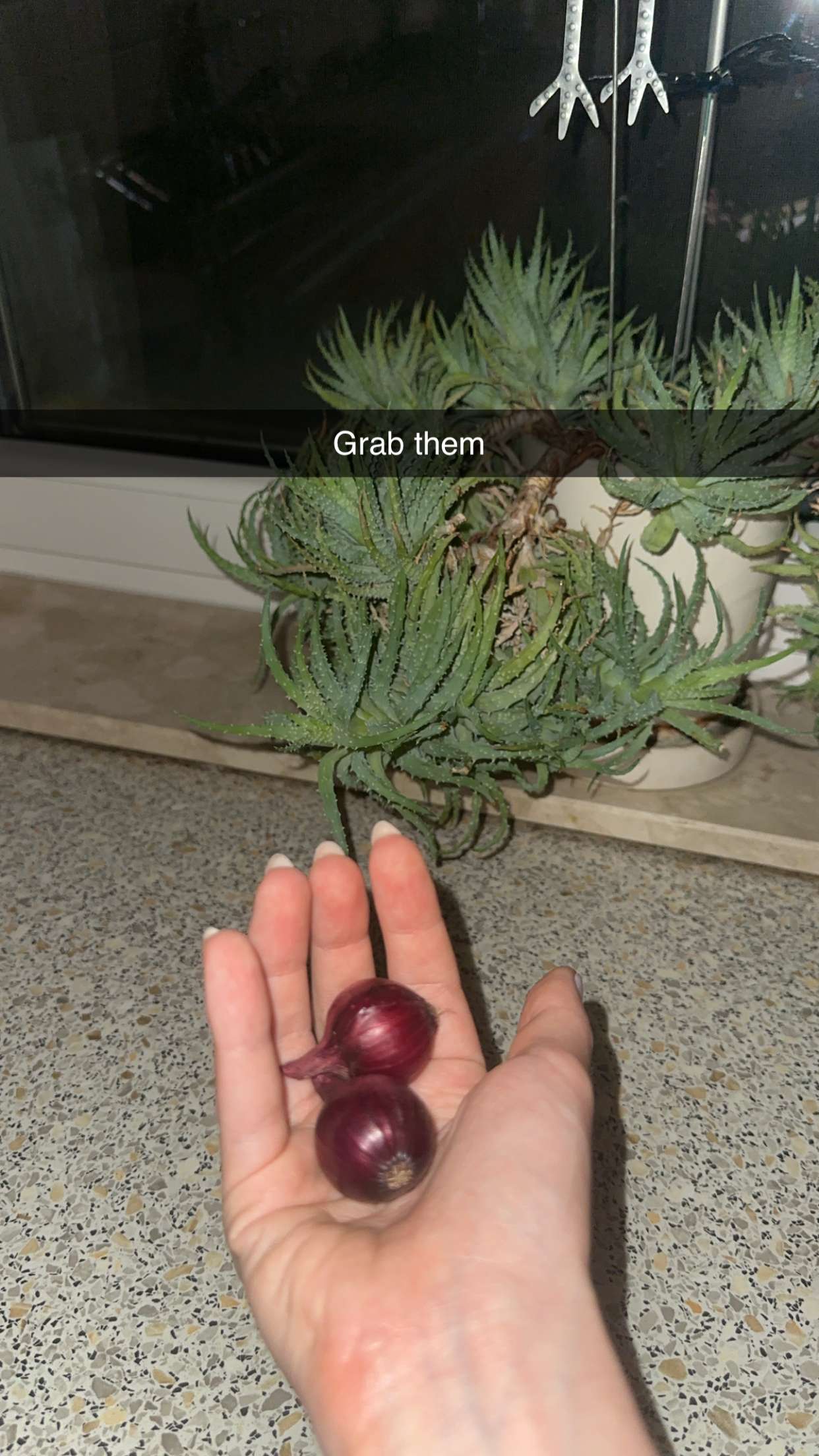 mira.0004 snapchat image archive image