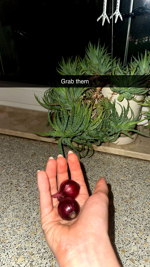 mira.0004 image ~ Altpins