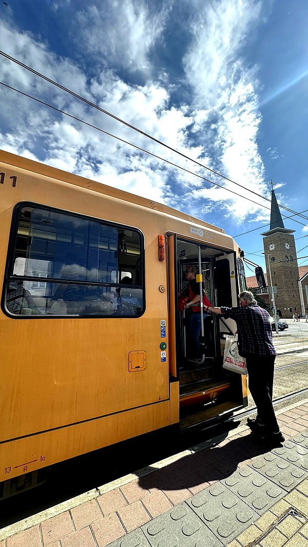 mira.0004 image ~ Altpins