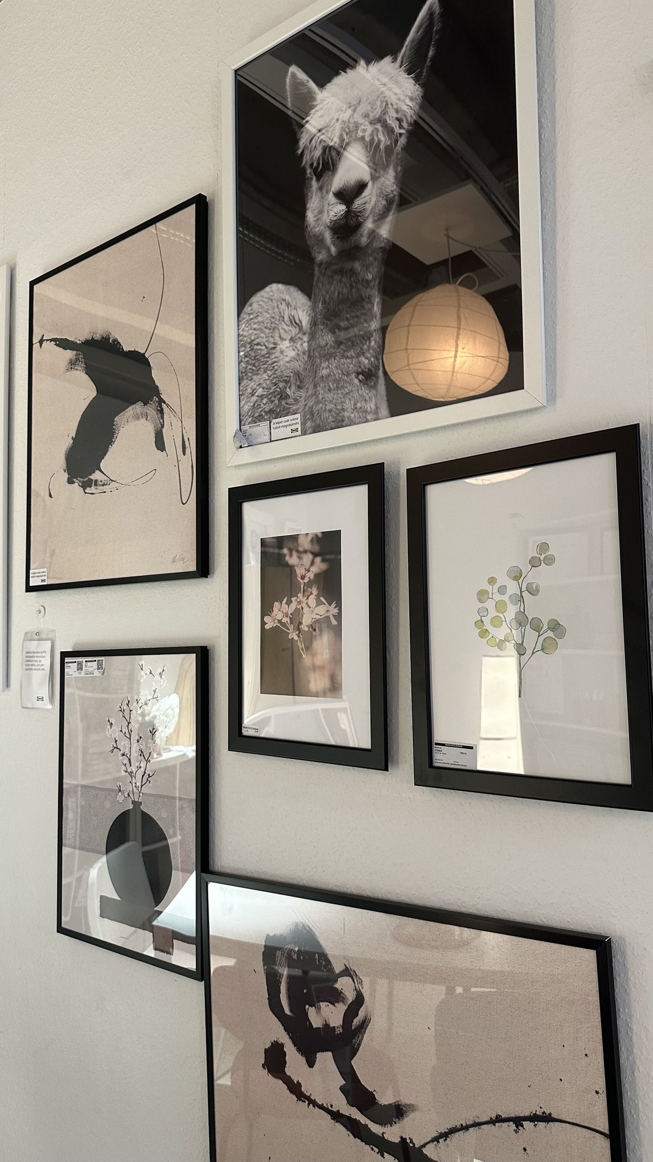 mira.0004 snapchat image archive image