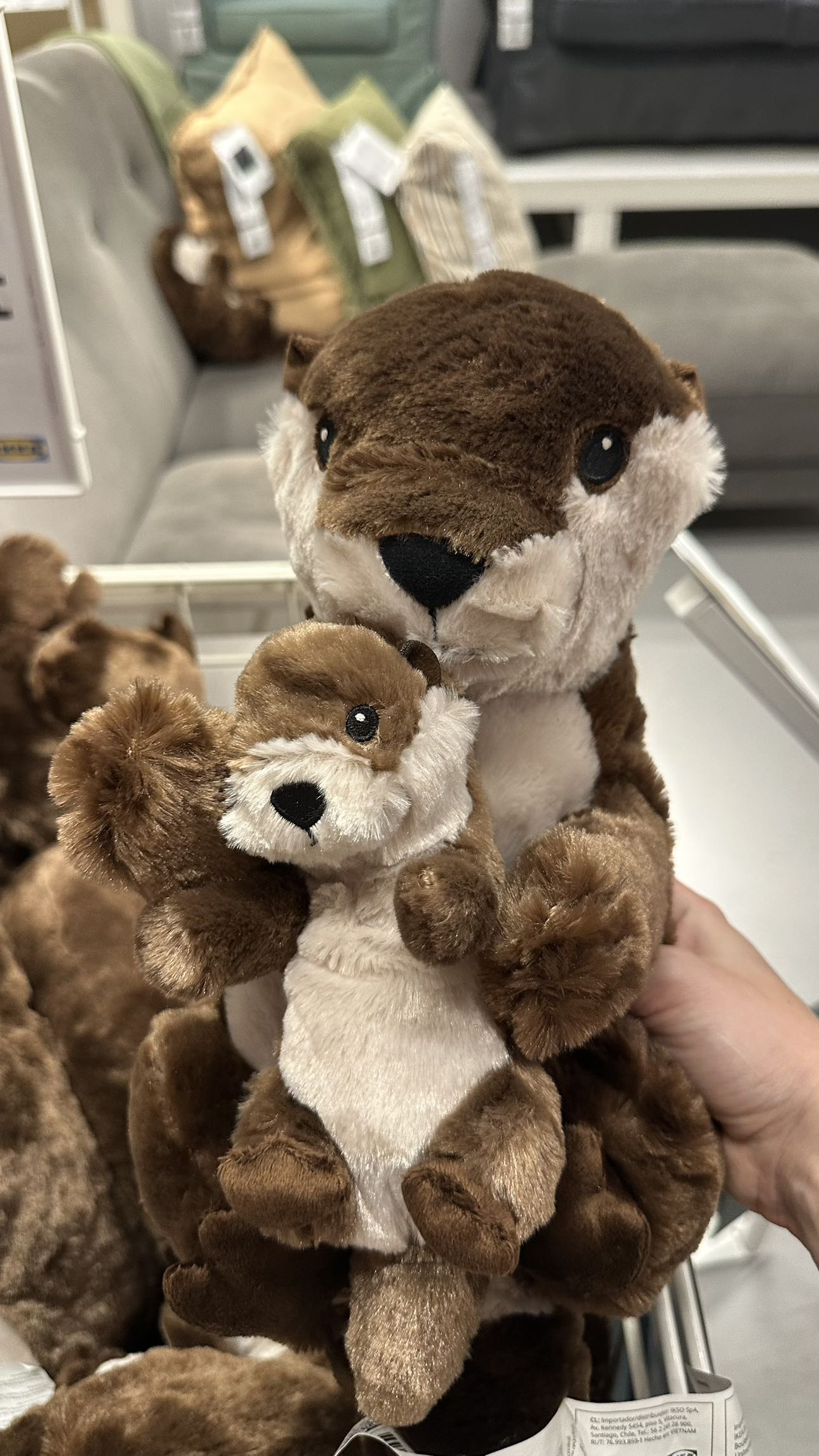 mira.0004 snapchat image archive image