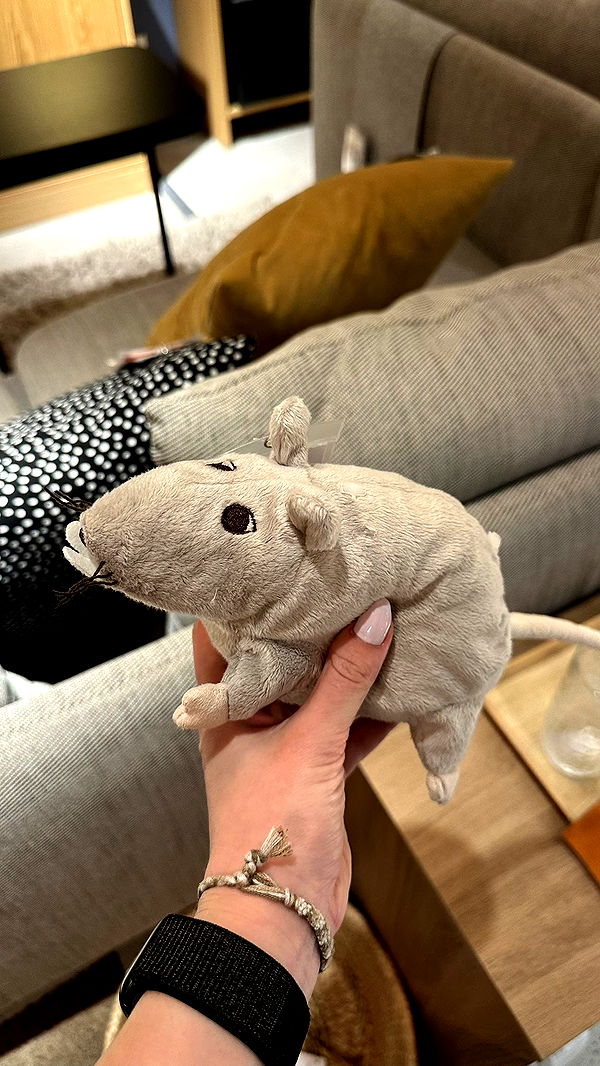 mira.0004 image ~ Altpins