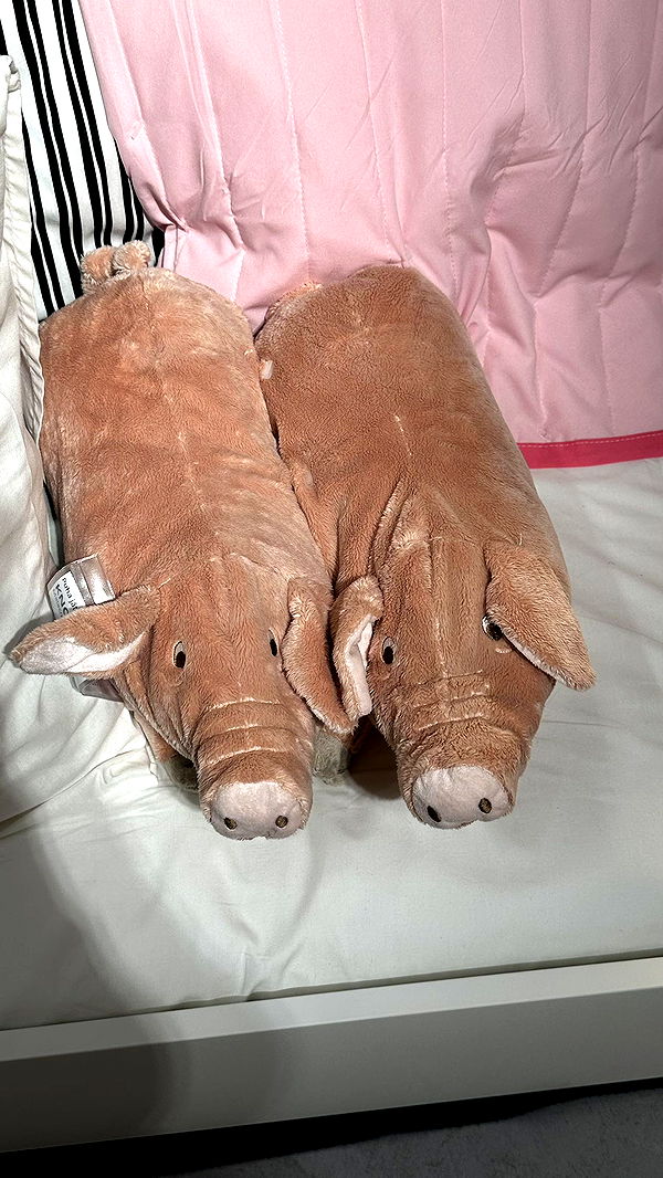 mira.0004 image ~ Altpins