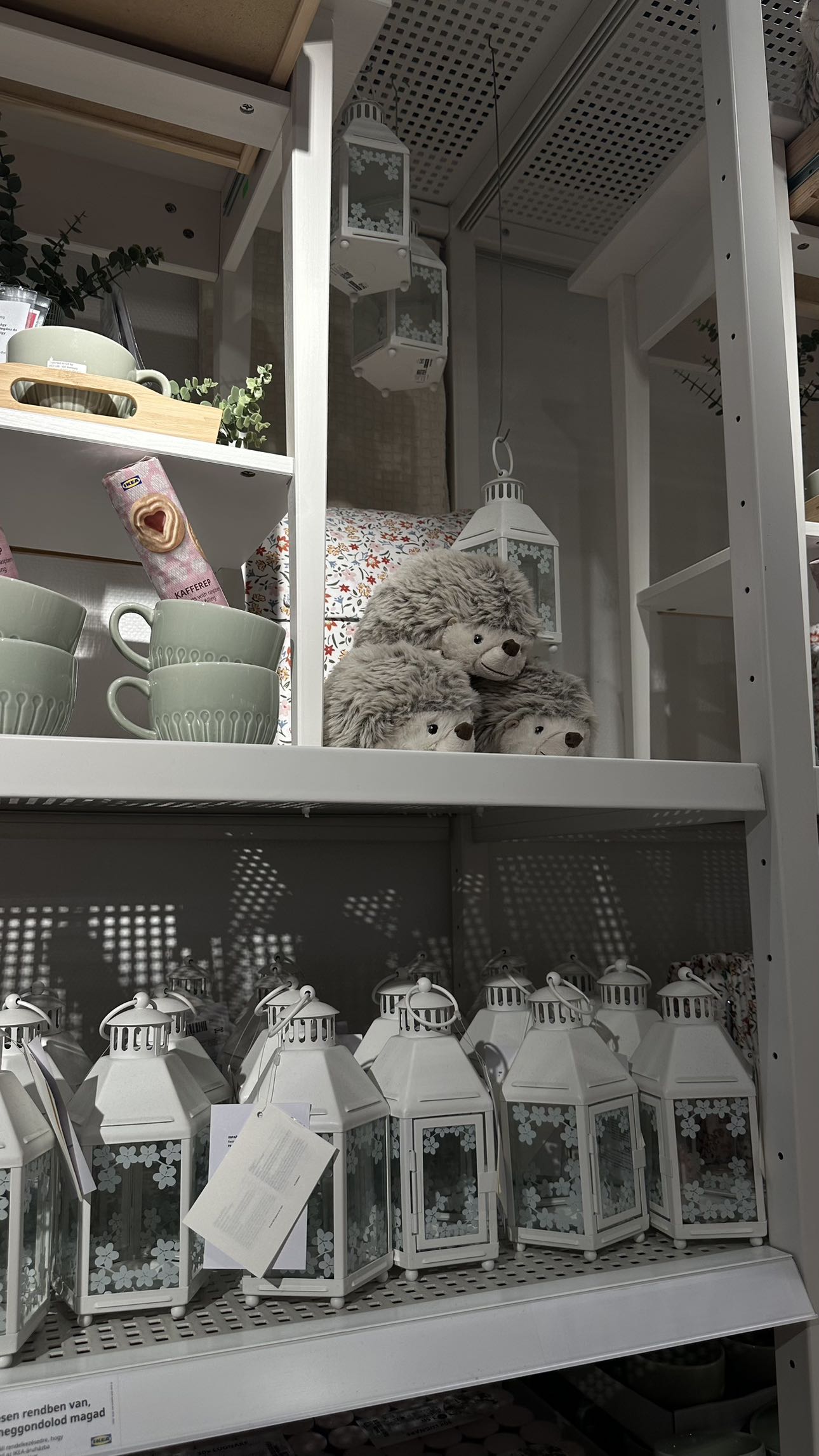 mira.0004 snapchat image archive image