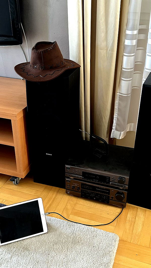 mira.0004 image ~ Altpins