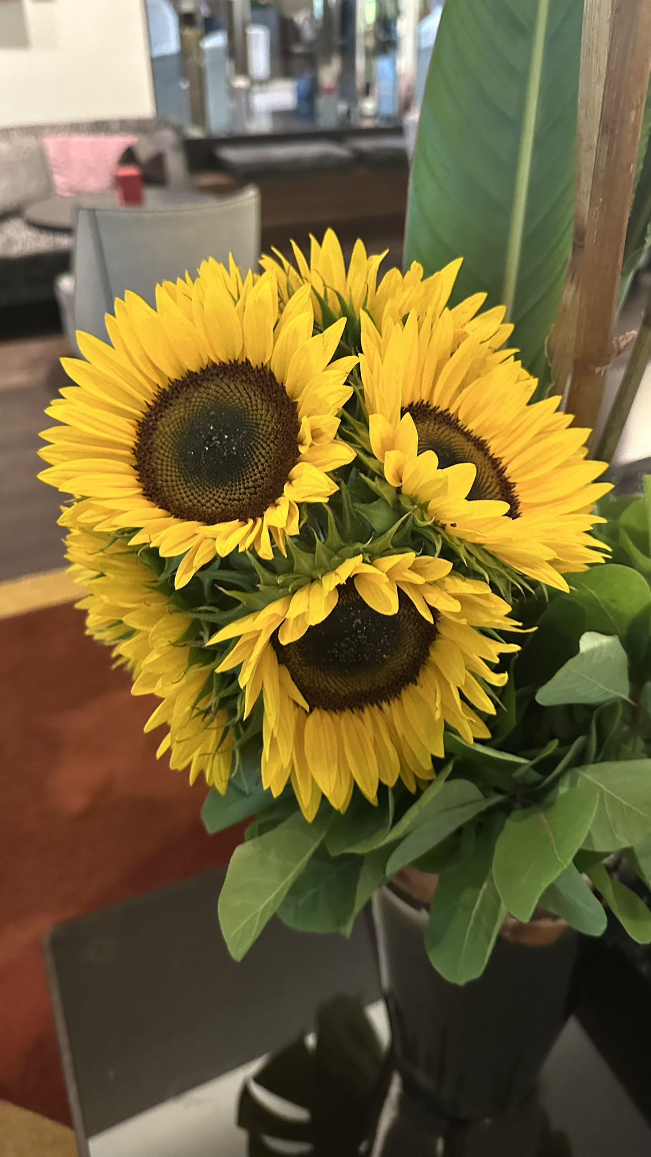 mira.0004 snapchat image archive image