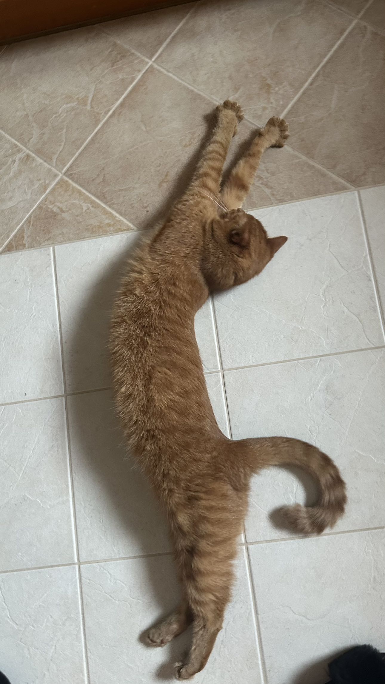 mira.0004 snapchat image archive image