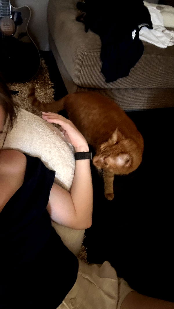 mira.0004 image ~ Altpins