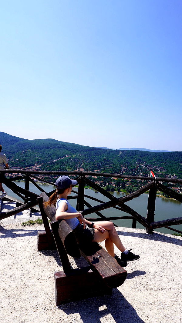 mira.0004 image ~ Altpins