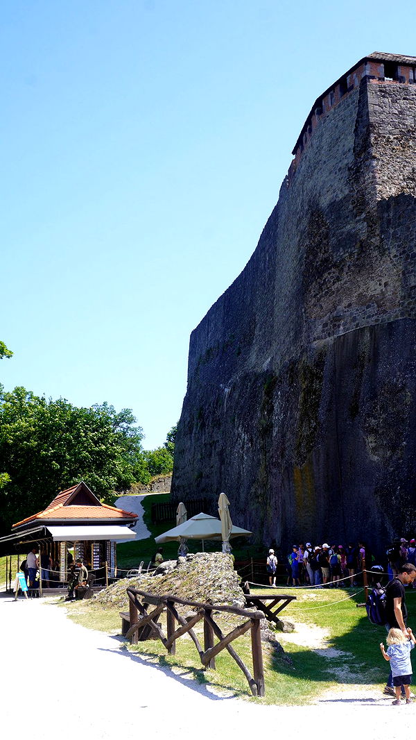 mira.0004 image ~ Altpins