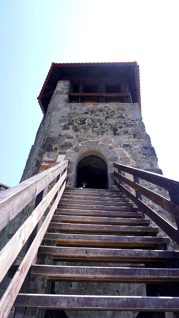 mira.0004 image ~ Altpins