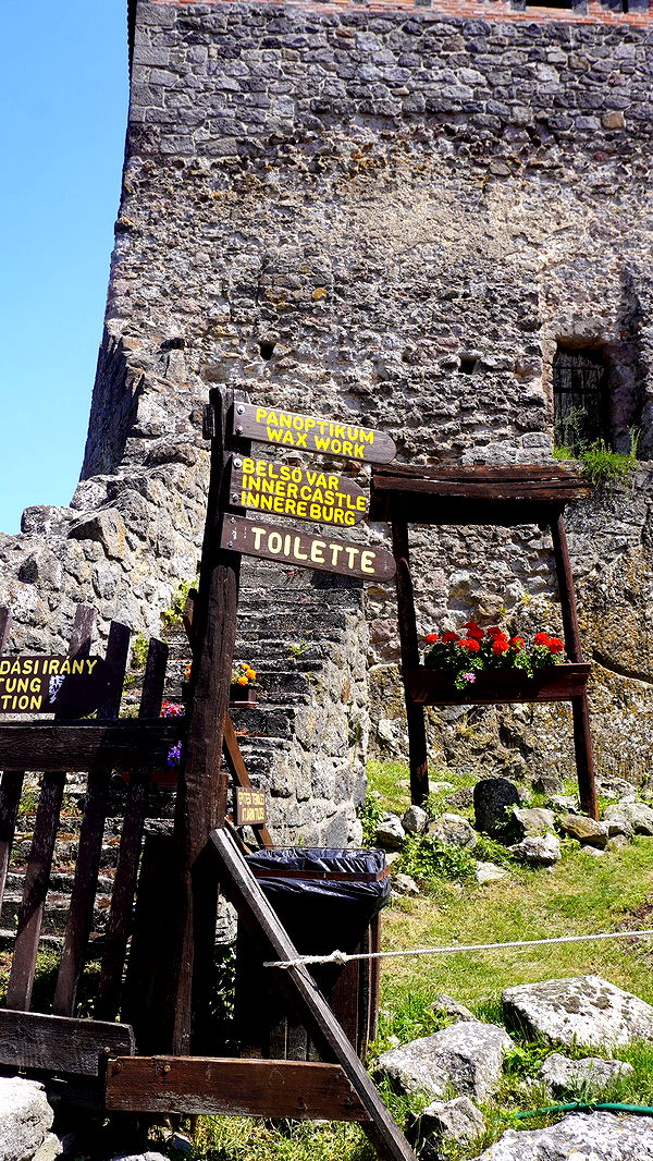 mira.0004 image ~ Altpins