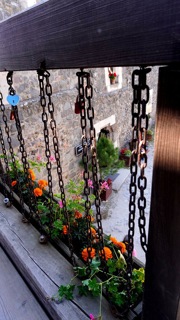 mira.0004 image ~ Altpins