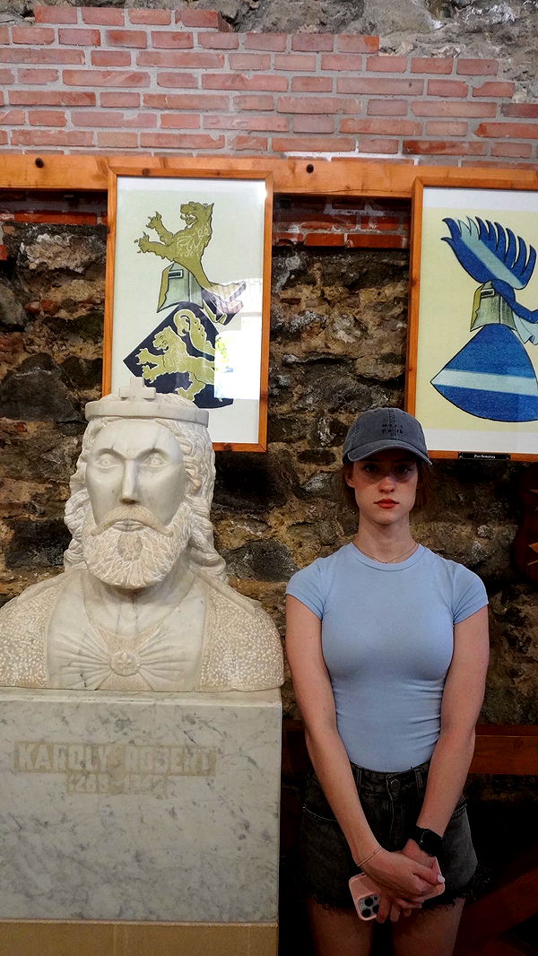 mira.0004 image ~ Altpins