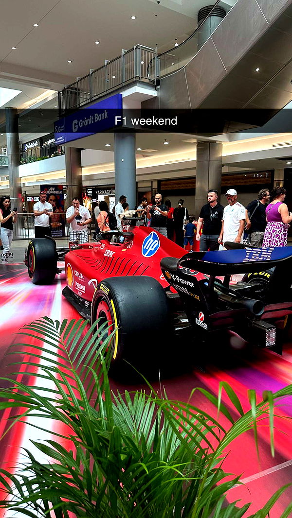 mira.0004 image ~ Altpins