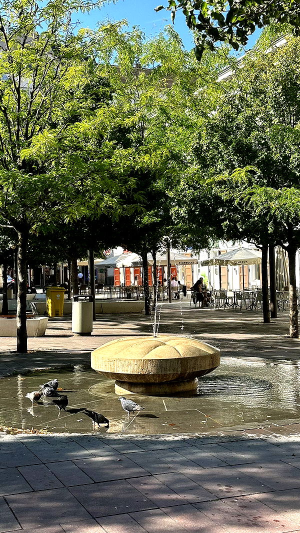 mira.0004 image ~ Altpins