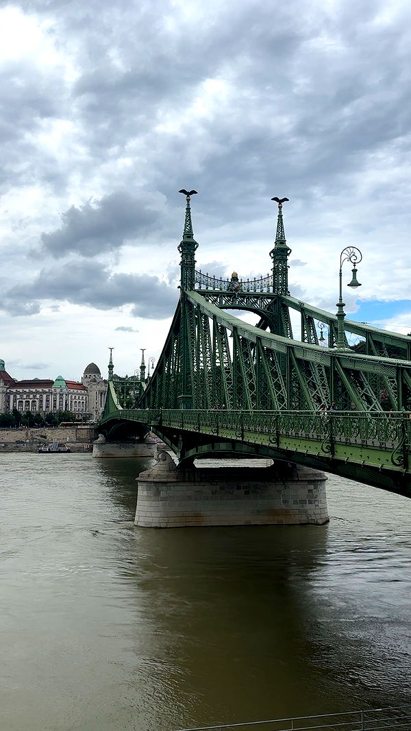 mira.0004 image ~ Altpins