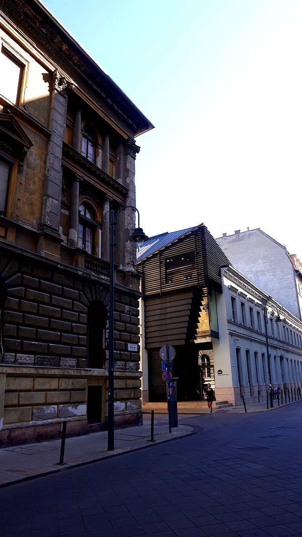 mira.0004 image ~ Altpins