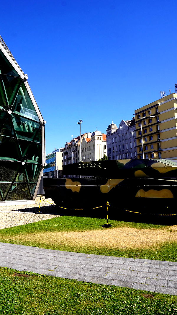 mira.0004 image ~ Altpins