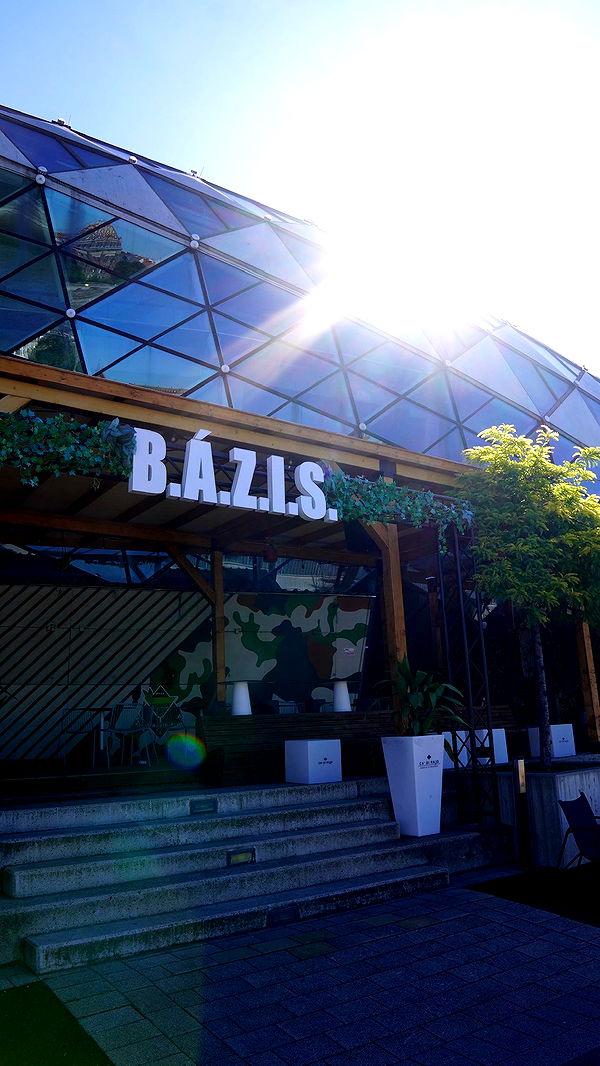 mira.0004 image ~ Altpins