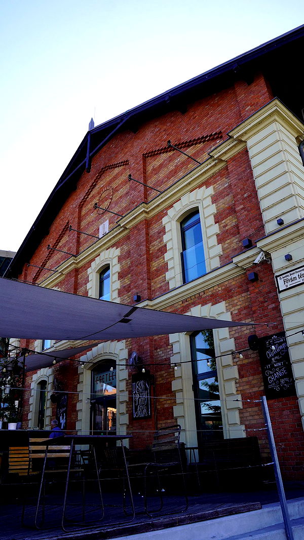 mira.0004 image ~ Altpins