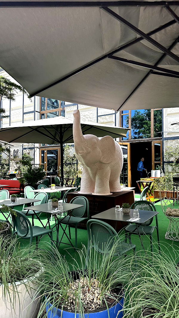 mira.0004 image ~ Altpins