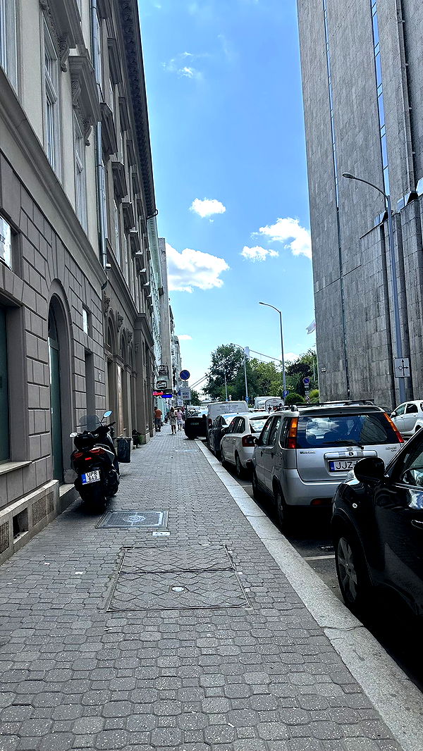 mira.0004 image ~ Altpins