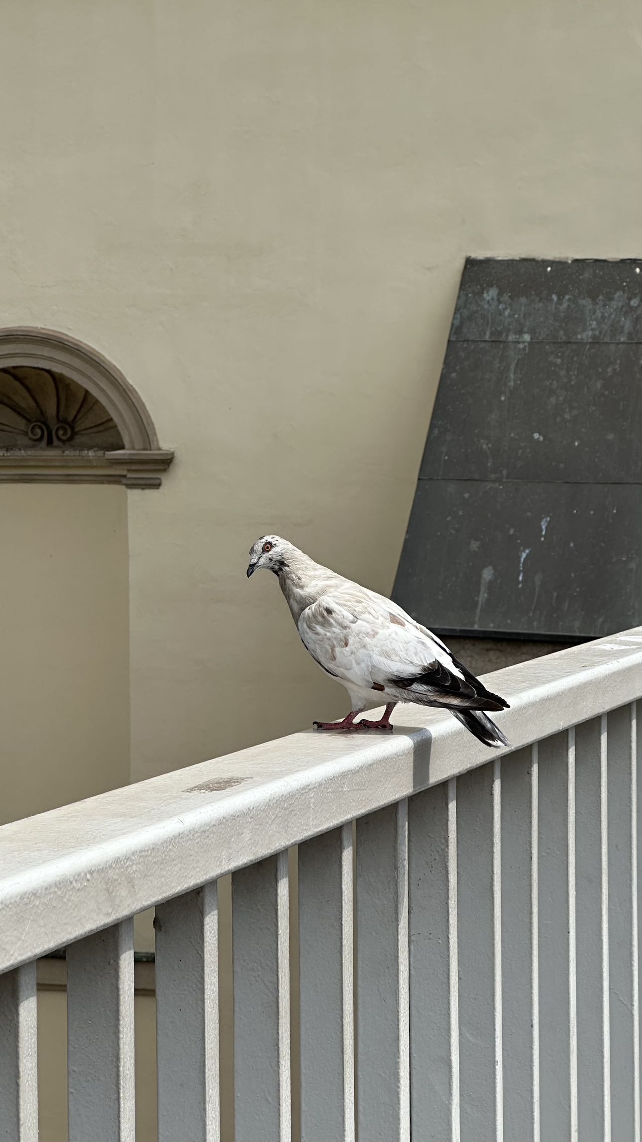 mira.0004 snapchat image archive image